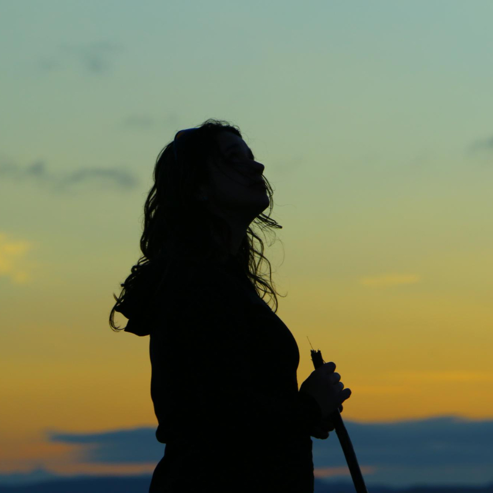 Person silhouetted against sunset holding a stick.